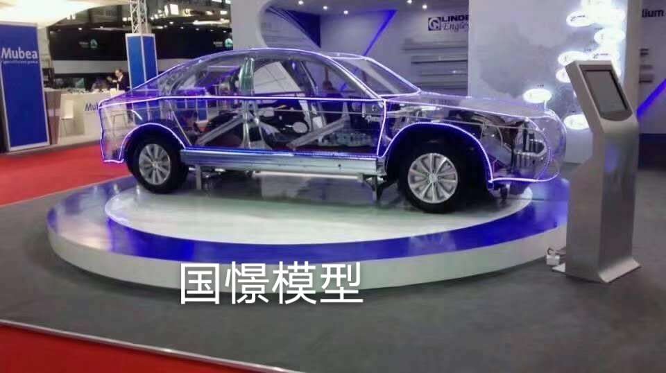 宜阳县透明车模型