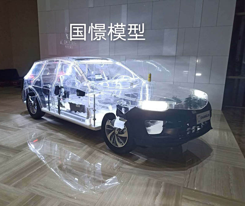 宜阳县透明车模型